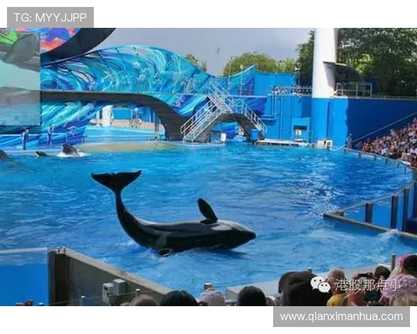 海洋之神娱乐官网安全保障措施,保障玩家账号与资金安全